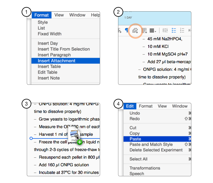 The four options for adding an attachment in Findings